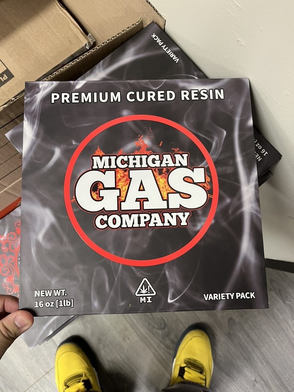 michigan gas company michigan gas company